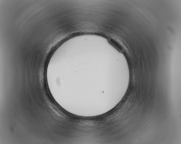 X0000113100677200909251032