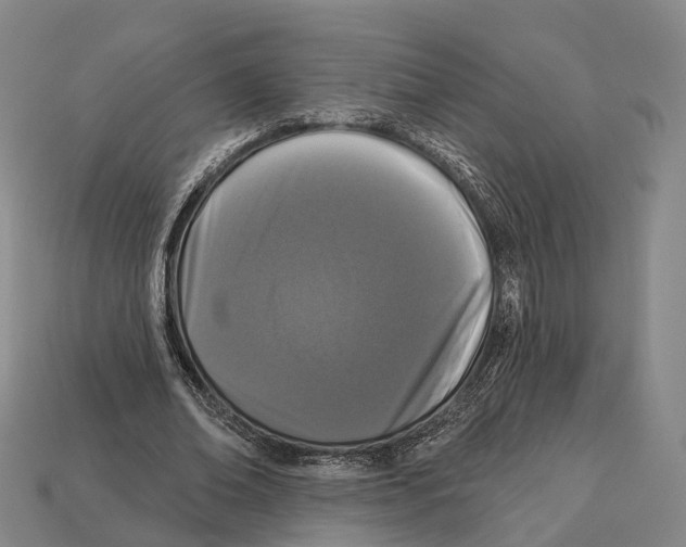 X0000113100678200909251032