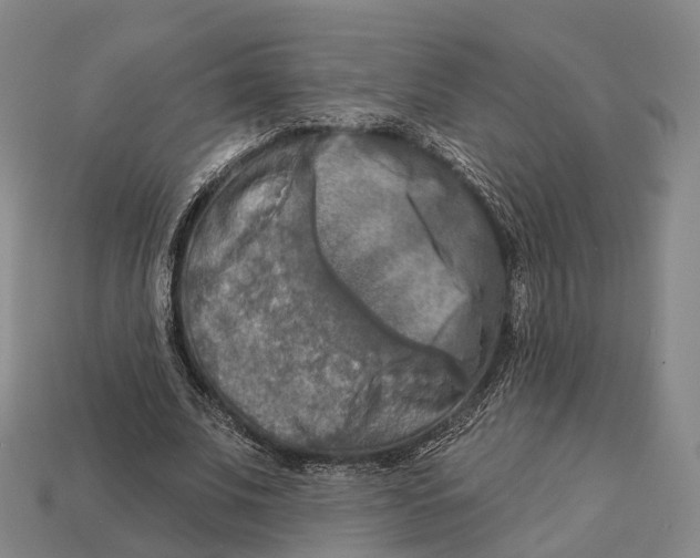 X0000113100679200909251032
