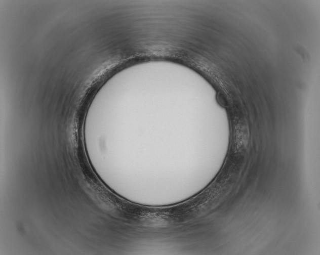 X0000113100680200909251032