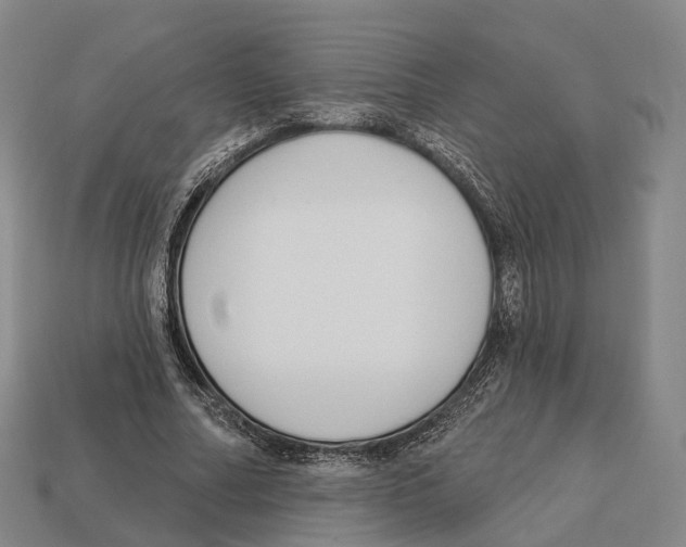X0000113100682200909251032
