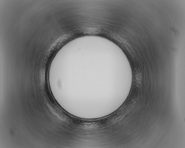 X0000113100686200909251032