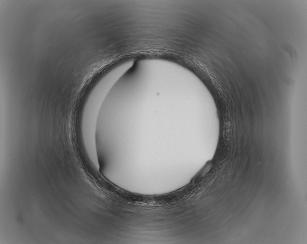 X0000113100688200909251032