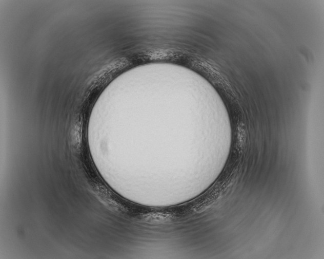 X0000113100691200909251032