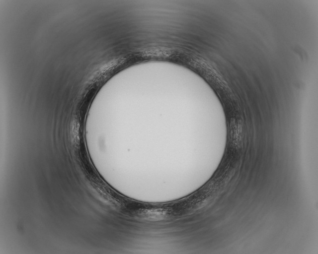 X0000113100692200909251032