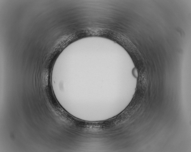 X0000113100694200909251032