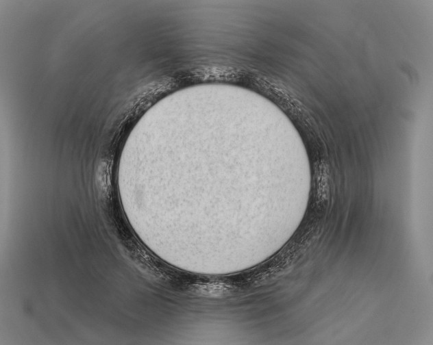 X0000113100695200909251032