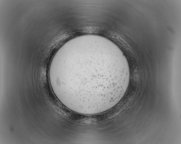 X0000113100696200909251032