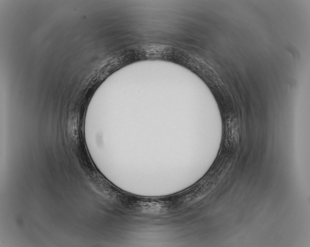 X0000113100698200909251032