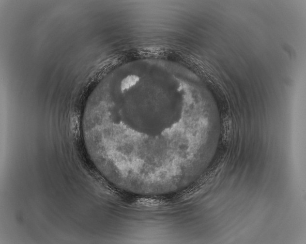X0000113100699200909251032