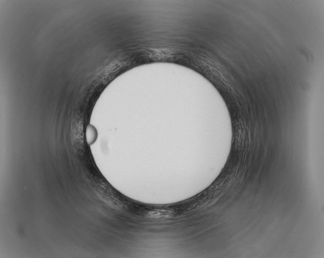X0000113100700200909251031