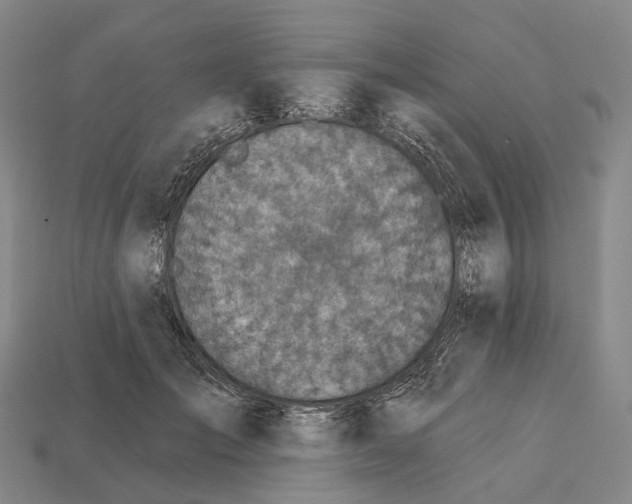 X0000113100701200909251031