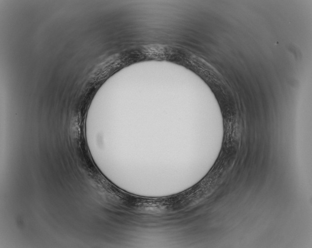 X0000113100702200909251031