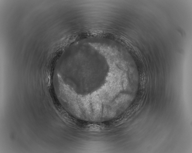 X0000113100703200909251031