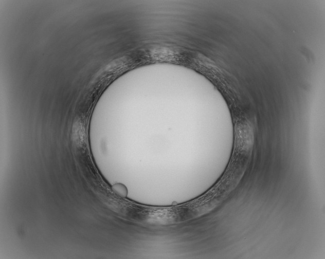 X0000113100705200909251031
