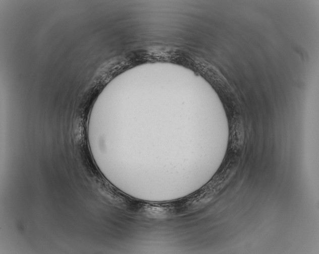 X0000113100706200909251031