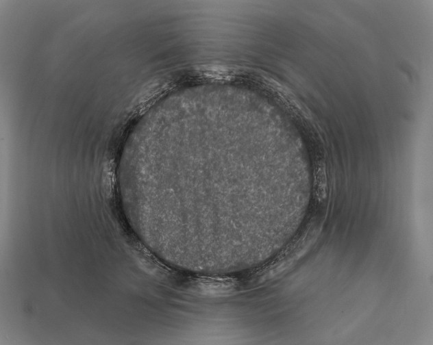 X0000113100707200909251031