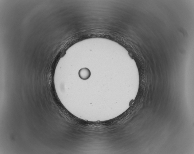 X0000113100708200909251031