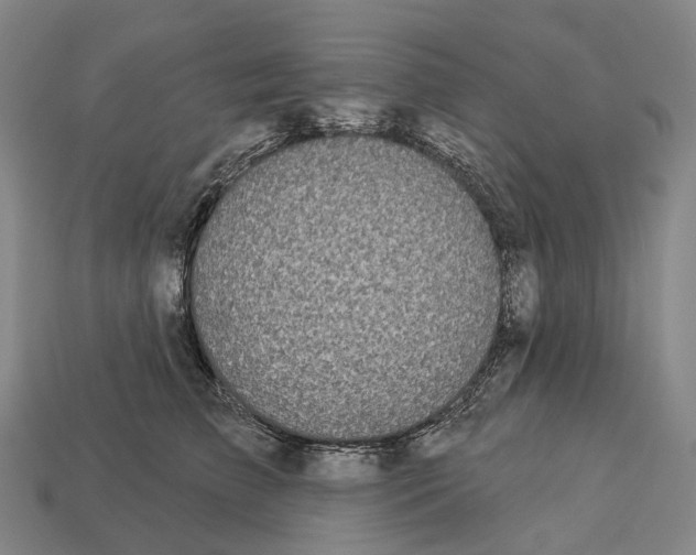 X0000113100709200909251031