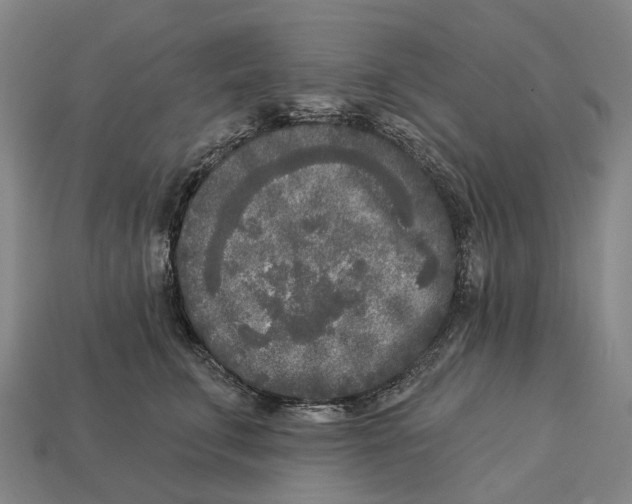 X0000113100711200909251031