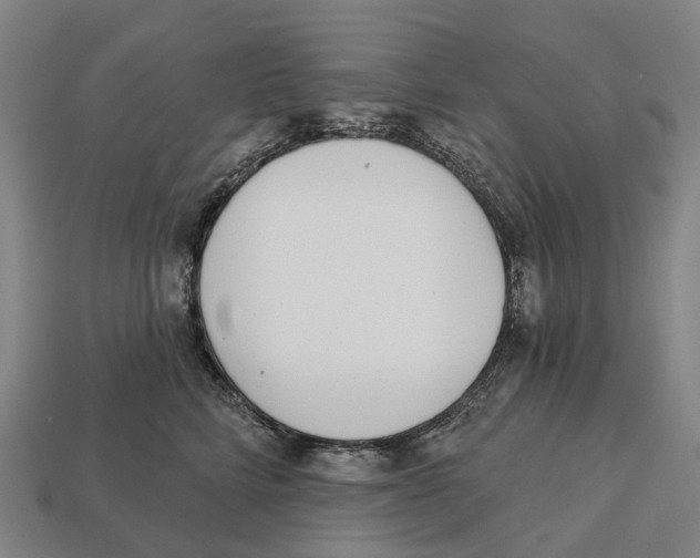 X0000113100712200909251031