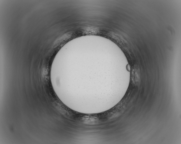 X0000113100714200909251031