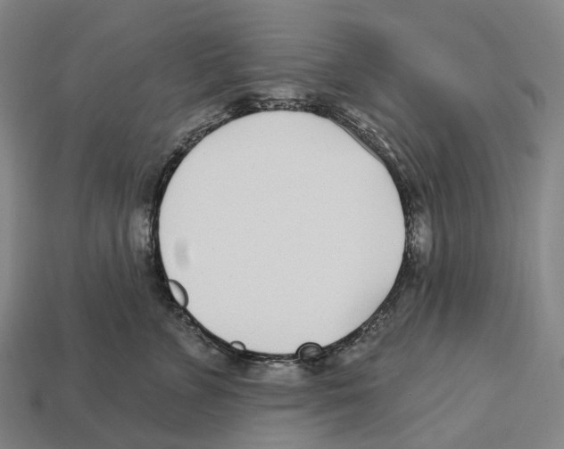 X0000113100715200909251031
