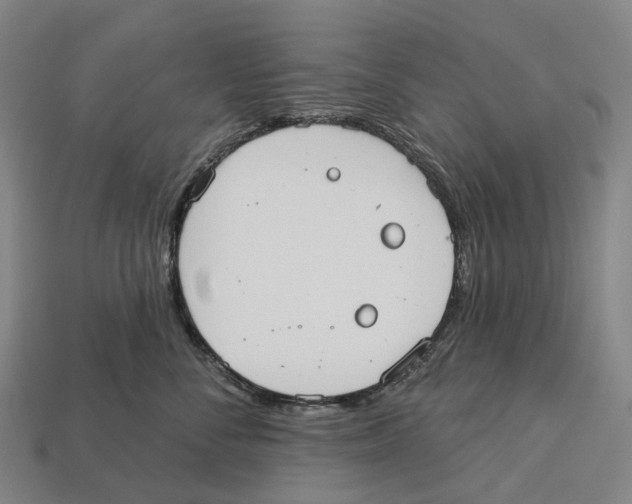 X0000113100716200909251031
