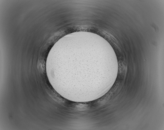 X0000113100718200909251031