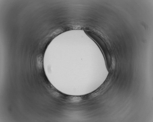 X0000113100719200909251031