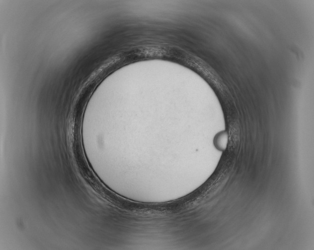X0000113100722200909251031