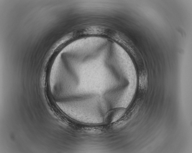 X0000113100724200909251031