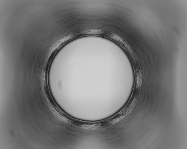 X0000113100725200909251031