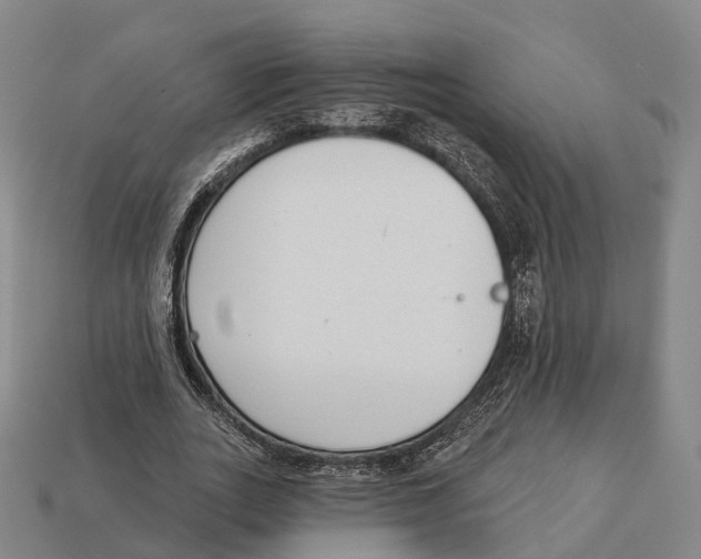 X0000113100727200909251031