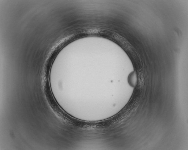 X0000113100728200909251031