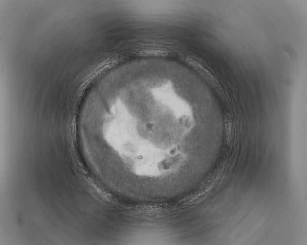 X0000113100729200909251031