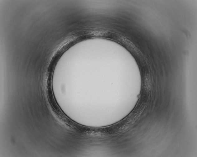 X0000113100730200909251031