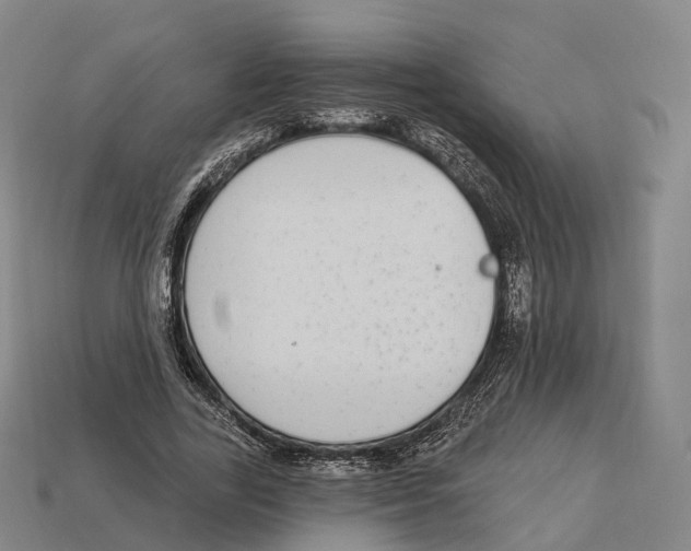 X0000113100731200909251031