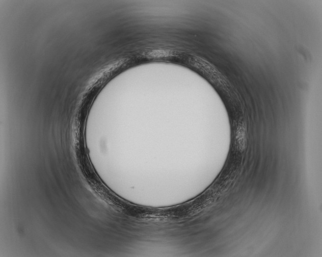 X0000113100732200909251031
