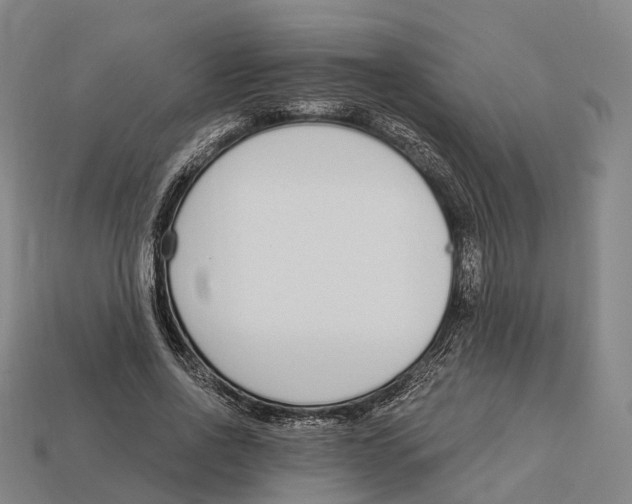 X0000113100734200909251031