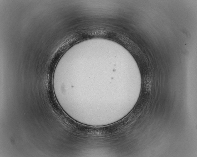 X0000113100735200909251031