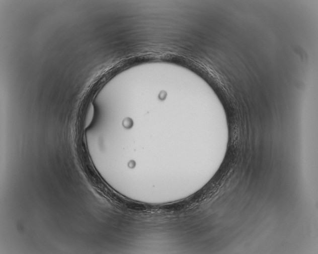 X0000113100736200909251031