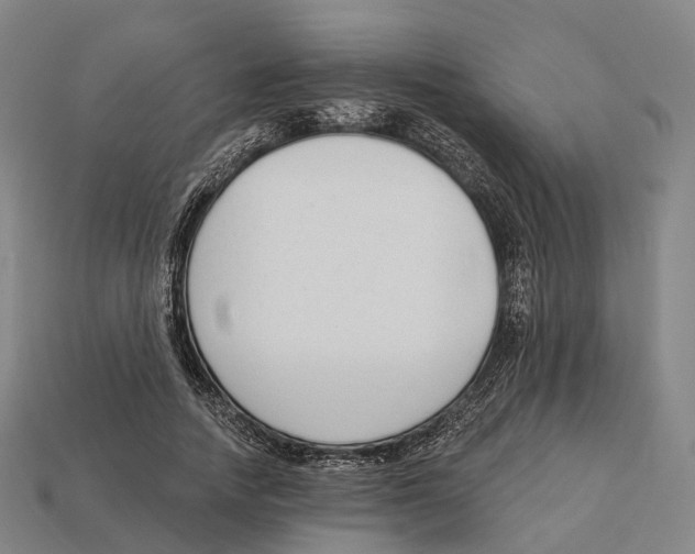 X0000113100738200909251031