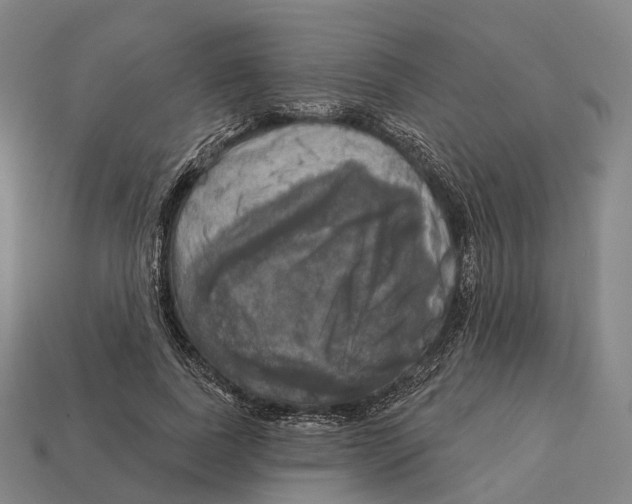 X0000113100739200909251031