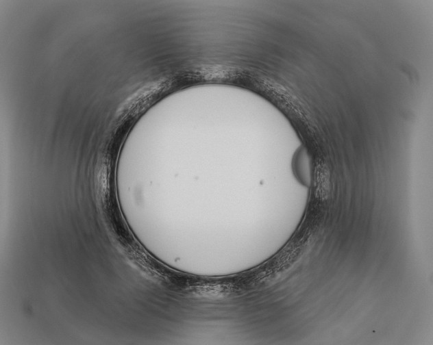X0000113100740200909251031