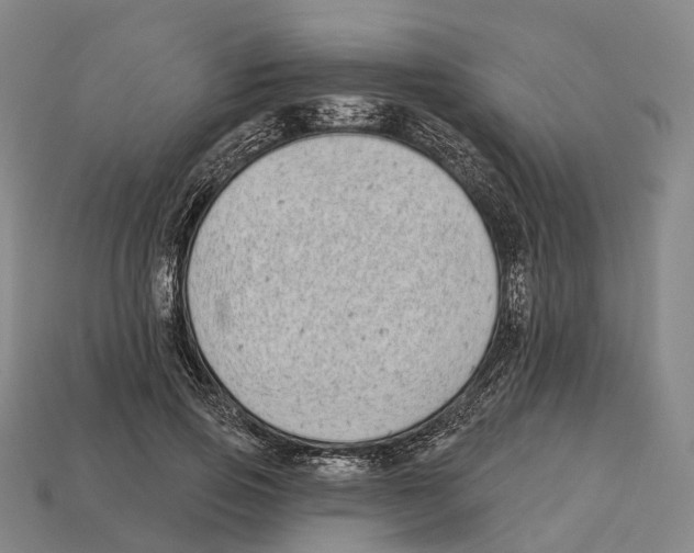 X0000113100741200909251031