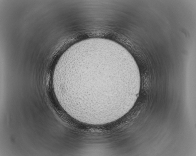 X0000113100742200909251031