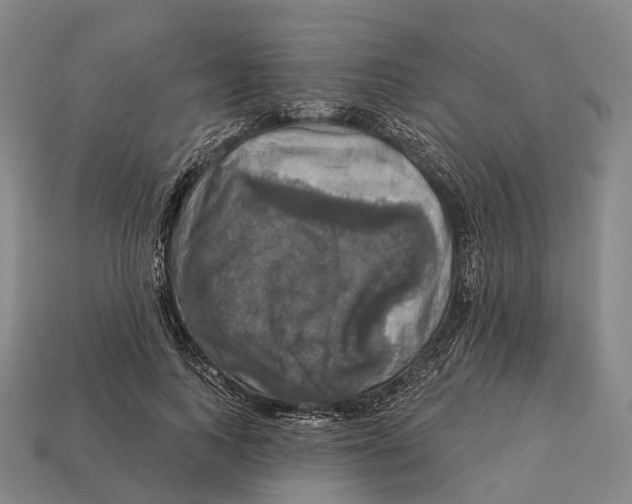 X0000113100743200909251031