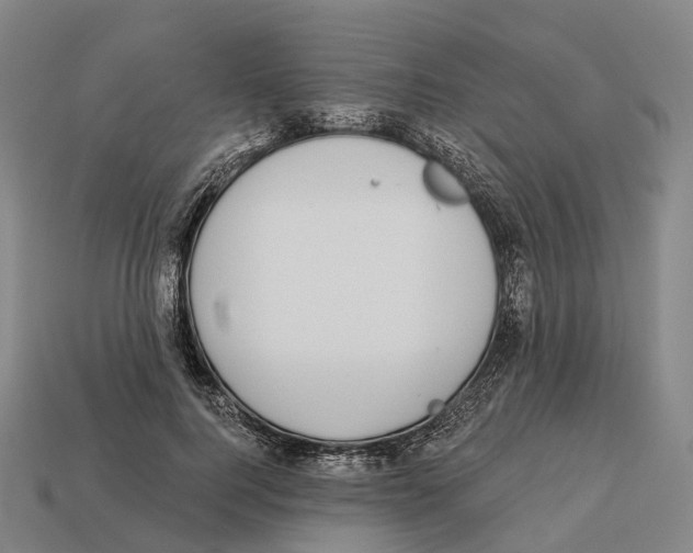 X0000113100744200909251031