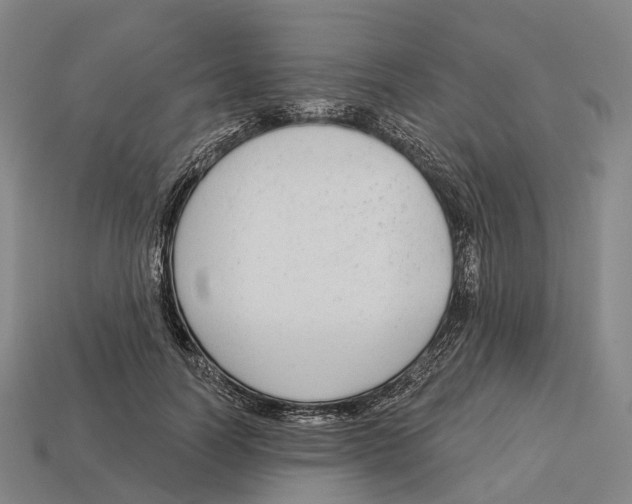 X0000113100746200909251031
